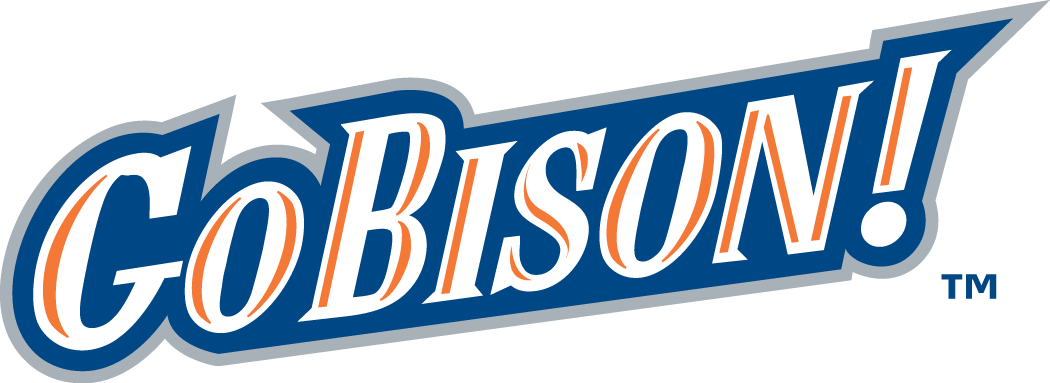 Bucknell Bison 2002-Pres Wordmark Logo v3 diy fabric transfer